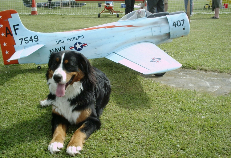  Pas toucher à l'avion de Patrick !